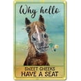 thumbnail image 4 of 1PC Hello Sweet Cheeks Metal Tin Sign Vintage Donkey Tin Signs Funny Wall Art Garden House, 4 of 8
