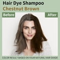 thumbnail image 2 of 2 Pack Chestnut Brown Hair Dye Shampoo 3 in 1, Instant Hair Color Shampoo Changes Hair Color Women & Men, Easy To Use & Lasts 3-4 Weeks & All Hair Types, 16.9 fl.oz, 2 of 6