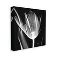 thumbnail image 4 of Stupell Industries Flower X-Ray on Black Botanical & Floral Photography Gallery Wrapped Canvas Print Wall Art, 17 x 17, 4 of 8