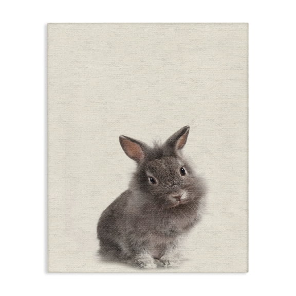 Stupell Industries Cottage Just A Cute Bunny Canvas Art, 16 x 20, by Lil' Rue