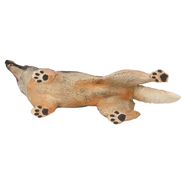 Dog Model, PVC Model Mannequin Display 4D Vision Anatomy Model with Two Different Types for Dog Lovers, This Ornament Is Available in Two Types to Suit Your Preference