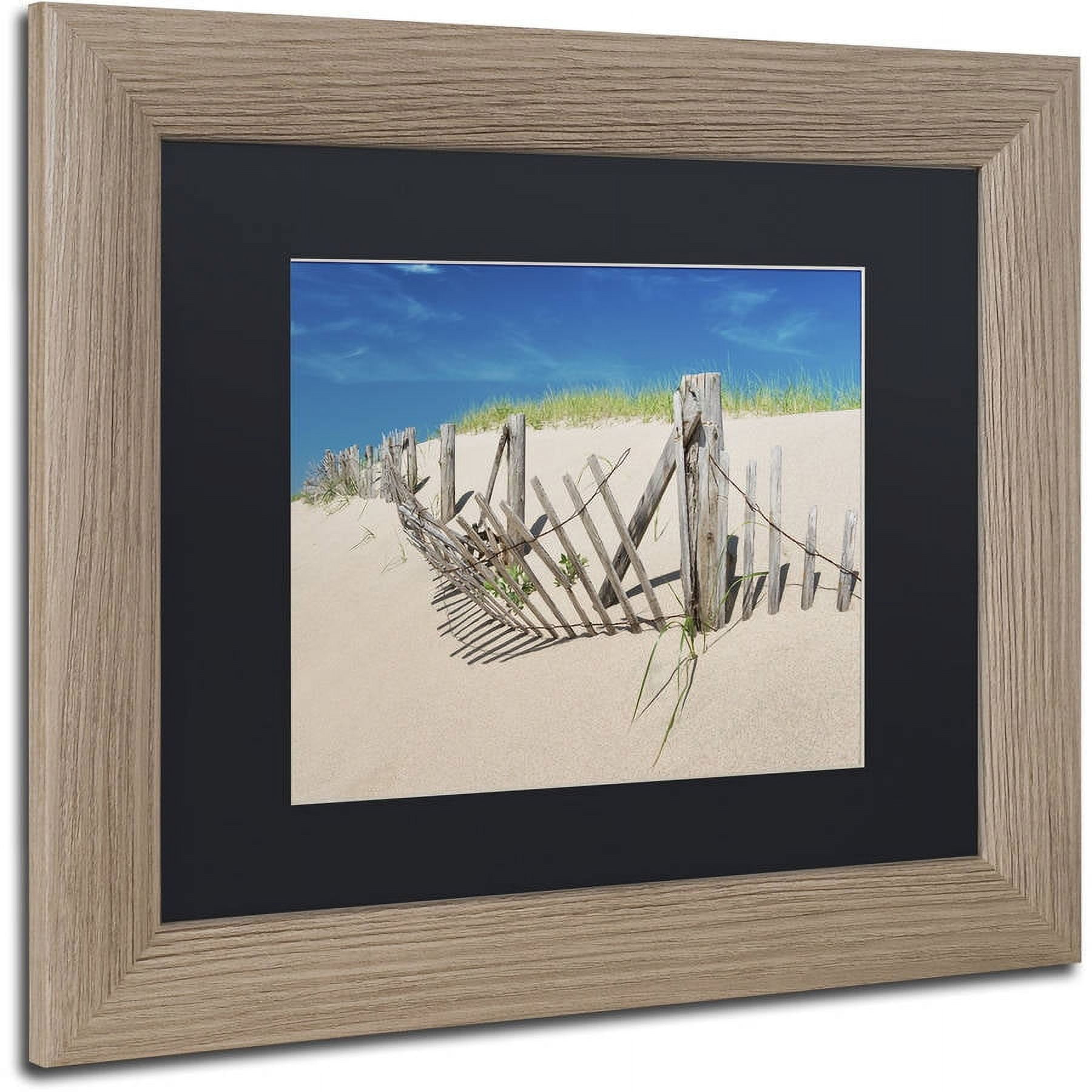 Trademark Fine Art "Worn Beach Fence" Canvas Art by Michael Blanchette Photography Black Matte, Birch Frame