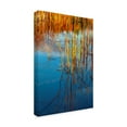thumbnail image 2 of Trademark Fine Art 'Reflections On Water' Canvas Art by Anthony Paladino, 2 of 3