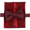 thumbnail image 1 of Alfani - Pajarita de 2 piezas para hombre, color rojo, talla única, 1 of 1