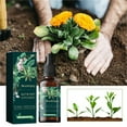 thumbnail image 6 of sdhkgrrt under $5 Plants Nutrient Solution, Plants Nutrient Solution, Hydroponic Fertilizer for Flowers and Vegetables, Growth Promoter for Pots, Gardens, Lawns, Indoor Plants, Easy Use Spray Bottle, 6 of 9