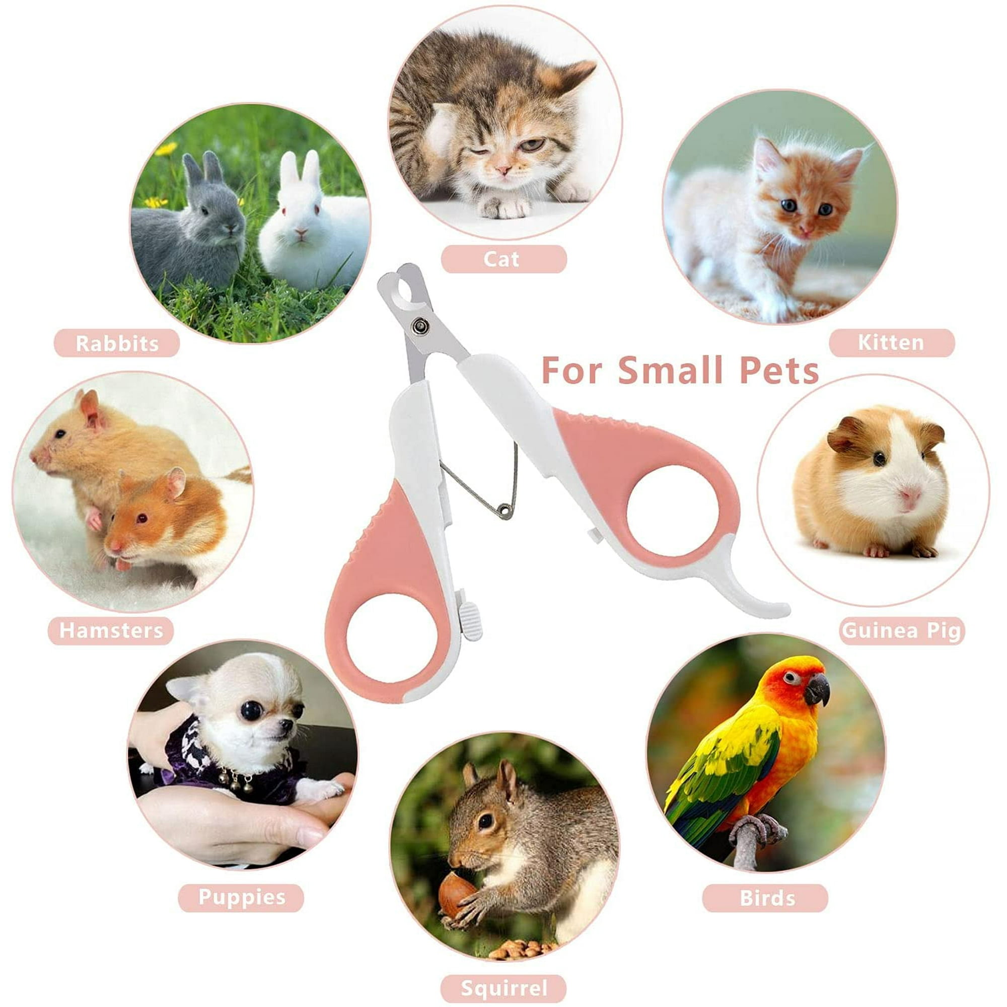 Cat Nail Clippers with Safety Guard and Sharp Angled Blade Best Grooming Tool Cat Claw Trimmer Cat Scissors Pet Nail Clippers for Cats Kitten Puppy