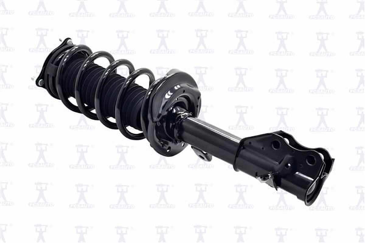 Suspension Strut and Coil Spring Assembly