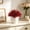 Red, variant on Mini Artificial Potted Plants Faux Green Bonsai Desktop Decor Flowerpot Ornament Home Office Table Window Sill Entryway Decoration Wedding Festival Accent Realistic Plant