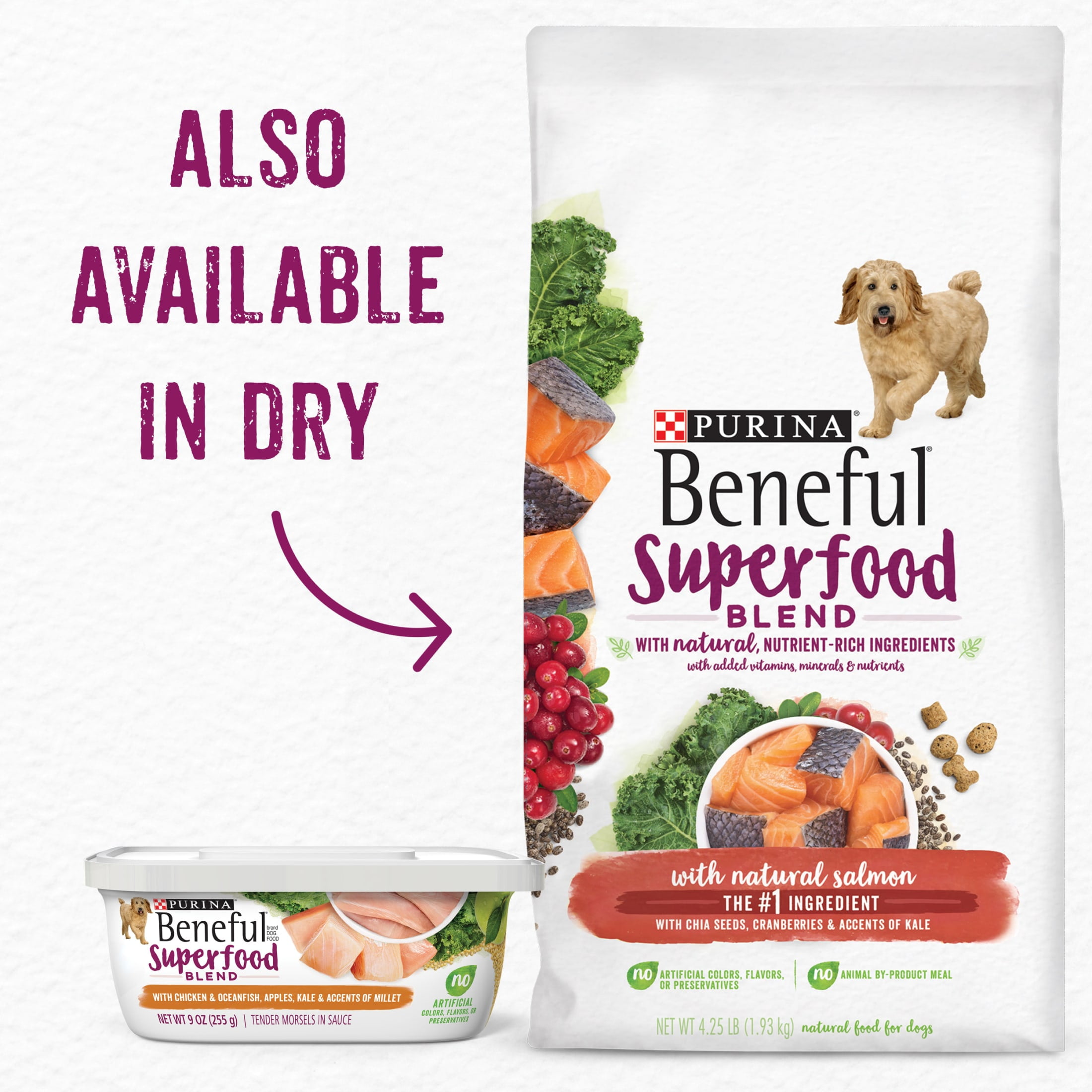 Purina Beneful Superfood Blend Wet Dog Food Beef and Salmon, 9 oz Tubs (8 Pack)
