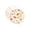 7In, variant on Fall Floral Disposable Paper Plates, for Autumn Themed Parties, Picnics, and Thanksgiving Celebrations 7In