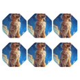 thumbnail image 2 of Pofeuu Starry Sky Cloud Dog Print Leather Coasters Set of 6, Round Cups Mugs Mat Pad for Home Kitchen Heat Resistant Drink Coasters,Octagon, 2 of 7