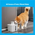 thumbnail image 3 of Premier Pet 60 oz. Pet Fountain, Automatic for Cats, Filters Included, White, 3 of 10