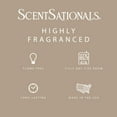 thumbnail image 3 of ScentSationals Cuddle Up Scented Wax Melts, 5 oz, 3 of 5