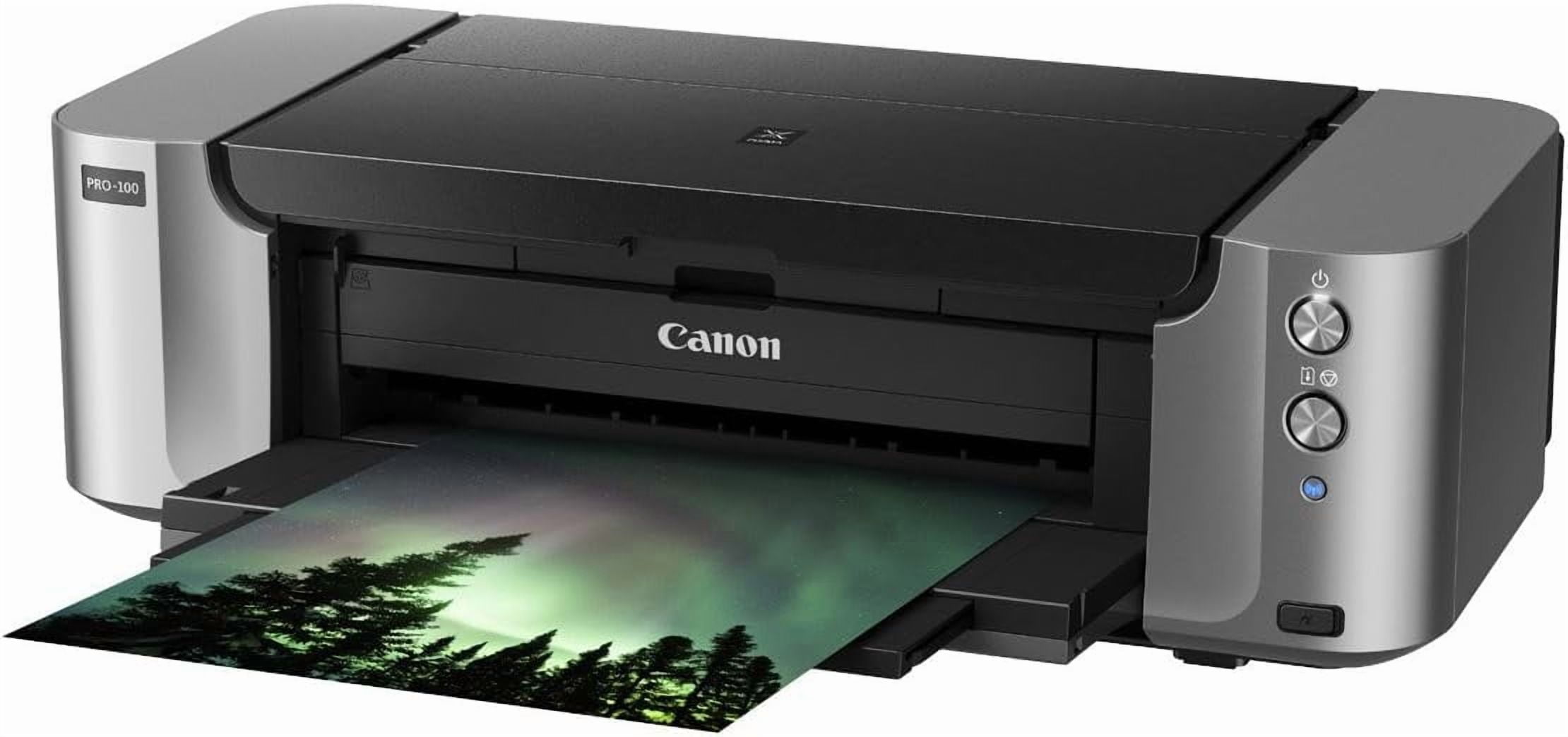 Canon PIXMA PRO-100 Professional Photo Printer, Gray, 1 Count