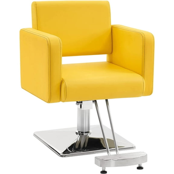 BarberPub Classic Styling Salon Chair for Hair Stylist, Hydraulic Pump Barber Chair