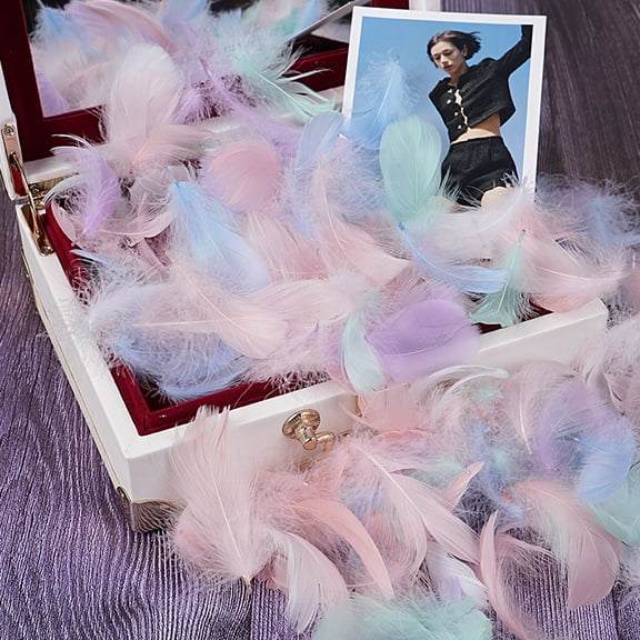 XmhyTop-A 100PCS Fake Goose Craft Feathers - Soft, Natural-Look Feathers for DIY Arts, Decor & Crafts-01 Multicolour