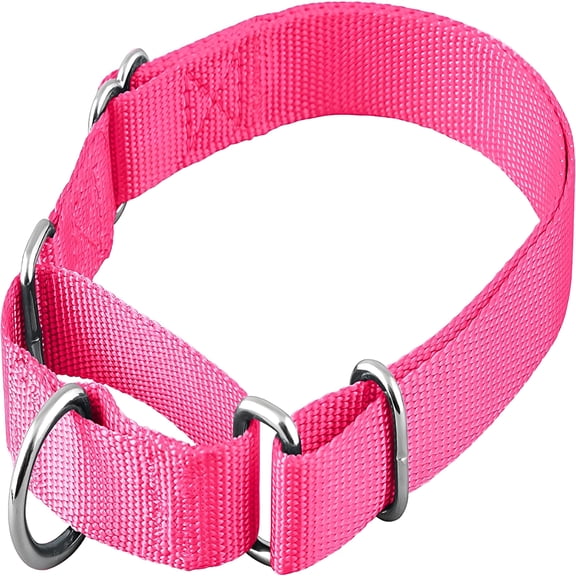 GASTROPOD Martingale Dog Collar, Adjustable for Small, Medium, Large Pet and Puppies Accessories, Cute Colors for Male, Female, Boy, Girl, Puppy (Small, Hot Pink)