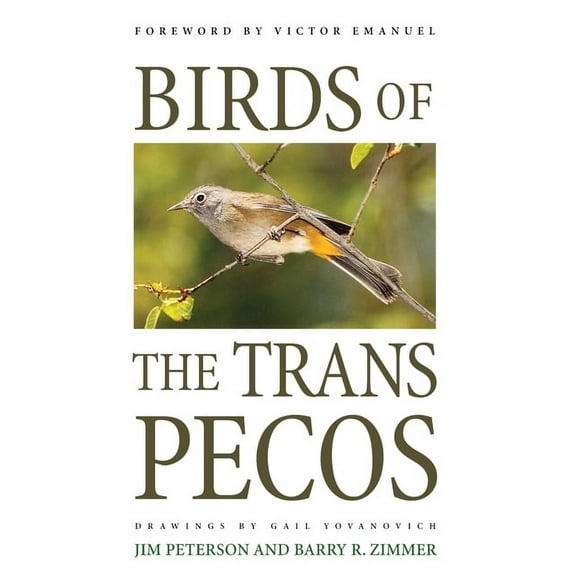 Corrie Herring Hooks Series Birds of the Trans-Pecos, Book 37, (Paperback)