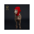 thumbnail image 3 of Italian Greyhound & Weimaraner: Cozy Red Knitted Pom-Pom Dog Hat In Waffle Pattern, 3 of 5
