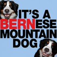 thumbnail image 3 of CafePress - It's A Bernese Mountain Dog Light T Shirt - Light T-Shirt - CP, 3 of 5