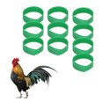 thumbnail image 4 of Cols de Poulet Sans Bruit, Cols de Coq Doux Nylon Réglable Sans Danger pour Empêcher les Poulets de Crier Bleu, Vert, Jaune, 4 of 8