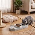 thumbnail image 2 of 3 in 1 Cat Bowl,Cat Food and Water Bowl Set with Water Dispenser and Stainless Steel Bowls,Double Bowls Design,15-degree Tilted Pet Feeder,Gray, 2 of 6