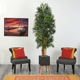 thumbnail image 3 of Nearly Natural 80" Phoenix Artificial Palm tree in Black Planter with Stand, 3 of 4