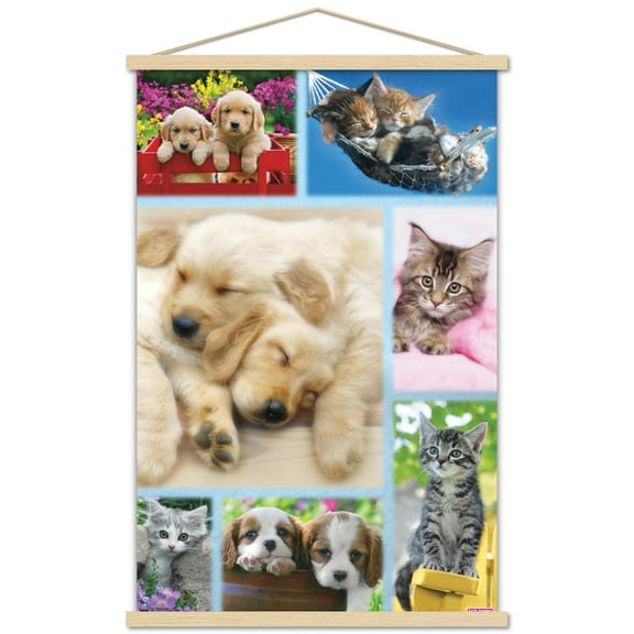 Keith Kimberlin - Puppies and Kittens Collage Wall Poster with Wooden Magnetic Frame, 22.375" x 34"