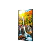 Sharp 43 Ultra High Definition Commercial Display PNME432