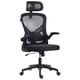 thumbnail image 1 of Silla de Oficina Flux Base EC343HR, Reposabrazos Abatibles, Soporta hasta 100Kg, Color Negro, 1 of 4