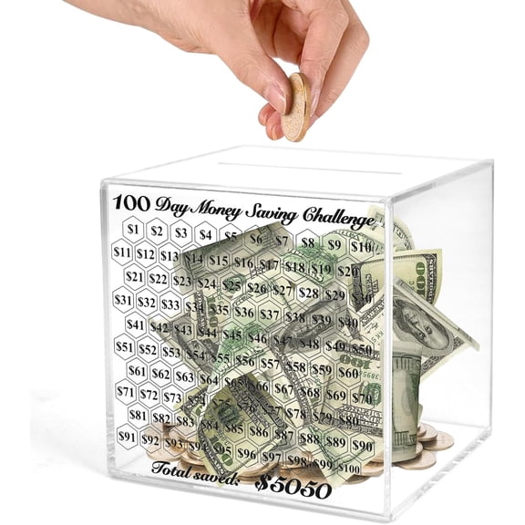 Piggy Bank for Adults, Smash Box for Money, Unbreakable Clear Acrylic Piggy Bank,Must Break to Open,100 Day Money Saving Challenge for Cash Coin, Save $5050