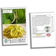thumbnail image 4 of Golden Wax Bush Bean Plant Seeds, 50 Heirloom Seeds Per Packet, Non GMO Seeds, 4 of 7