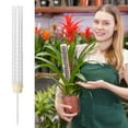 thumbnail image 3 of Mouliraty Plastic Moss Pole For Plants Monstera, Plant Poles For Climbing Plants, Plant Support For Indoor Plants Work With Sphagnum Moss, 3 of 6