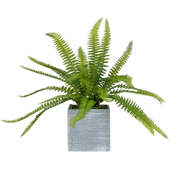 Northlight 13" Boston Fern Artificial Plant in Square Pot - Green/Gray