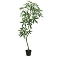 thumbnail image 2 of 5ft Artificial Money Tree, Faux Pachira Aquatica Plant in Black Pot, Fake Trees for Office Home Living Room Floor Patio Greening Porch Decor, 2 of 7