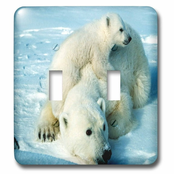 3dRose, Playful Polar Bear n Her Mom.jpg, double toggle switch