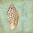 thumbnail image 2 of Reed, Tara 26x26 White Modern Wood Framed Museum Art Print Titled - Oceanum Shells Green II, 2 of 4