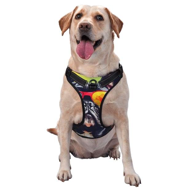 Fotbe Rainbow Bulldog Sunglasses Arnés para Perro con Estampado –Chaleco Ajustable Acolchado con Asa de Control para Perros Grandes-Large