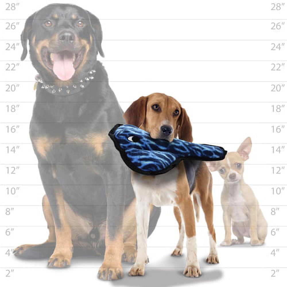 TUFFY® - World's Tuffest Soft Dog Toy - Jr Lobster, Stingray & Tiger Shark - Combo Pack - Squeakers - Multiple Layers. Made Durable, Strong & Tough.(Tug, Toss & Fetch). Machine Washable & Floats