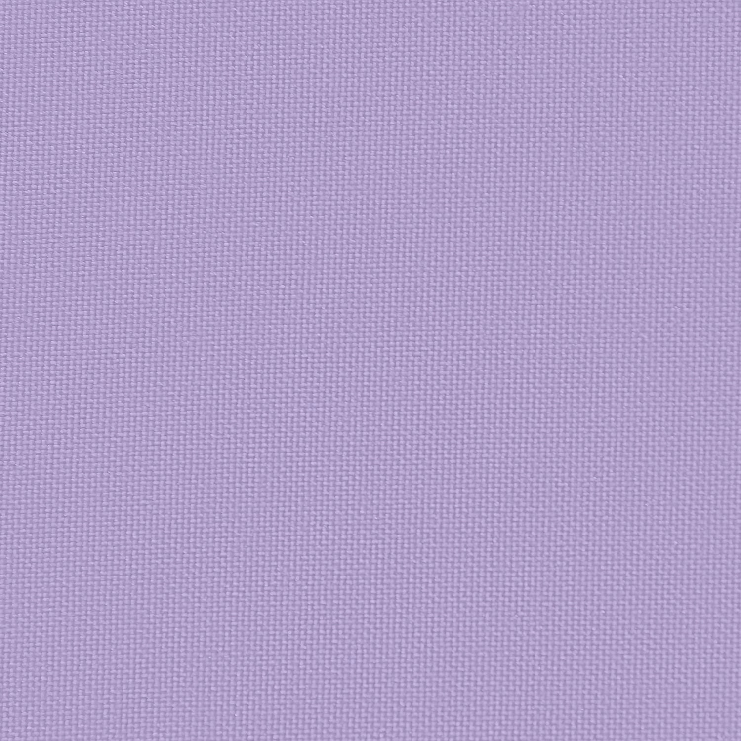 1356 Violet