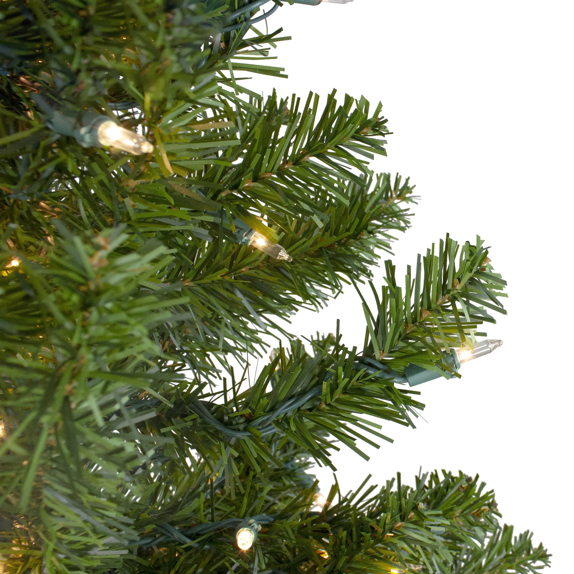 Northlight Clear Prelit Incandescent Green Full Canadian Pine Artificial Christmas Tree, 6'