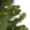 thumbnail image 2 of Northlight Clear Prelit Incandescent Green Full Canadian Pine Artificial Christmas Tree, 6', 2 of 7