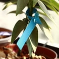 thumbnail image 3 of 200 Uds. Etiqueta de árbol de planta de plástico etiqueta de planta de jardín etiqueta colgante de planta 2x21cm etiqueta de jardín de guardería envolvente impermeable y reutilizable Zhivalor XWJ-A0073-2, 3 of 4