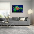 thumbnail image 5 of Epic Art 'Underwater Amazons' by Epic Portfolio Acrylic Glass Wall Art, 36"x24", 5 of 8