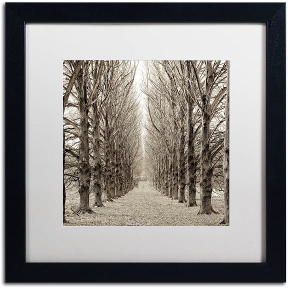 Trademark Fine Art Landscapes Matted Framed Art ' Hampton Gates Promenade III ' by Alan Blaustein