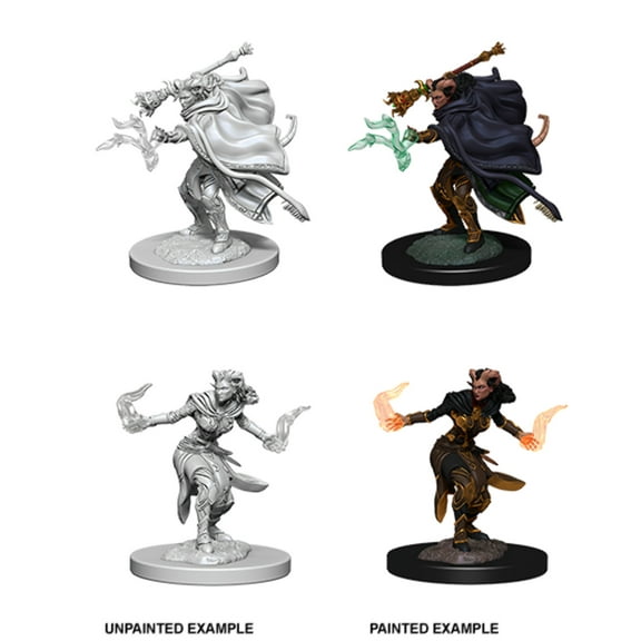 WizKids WZK73389 Female Tiefling Warlock W6 Dungeons & Dragons Nolzurs Marvelous Miniatures