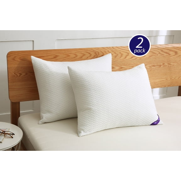 Twin Pack Nano Feather Pillow with Soft Knit Removable Cover