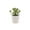 L, variant on Sunxin Simulated Potted Plant Guguisu Small Mini Plants Succulents Artificial Succulents Plastic Simulation Plants Pots Bathroom Farmhouse Cubicle Decoration.
