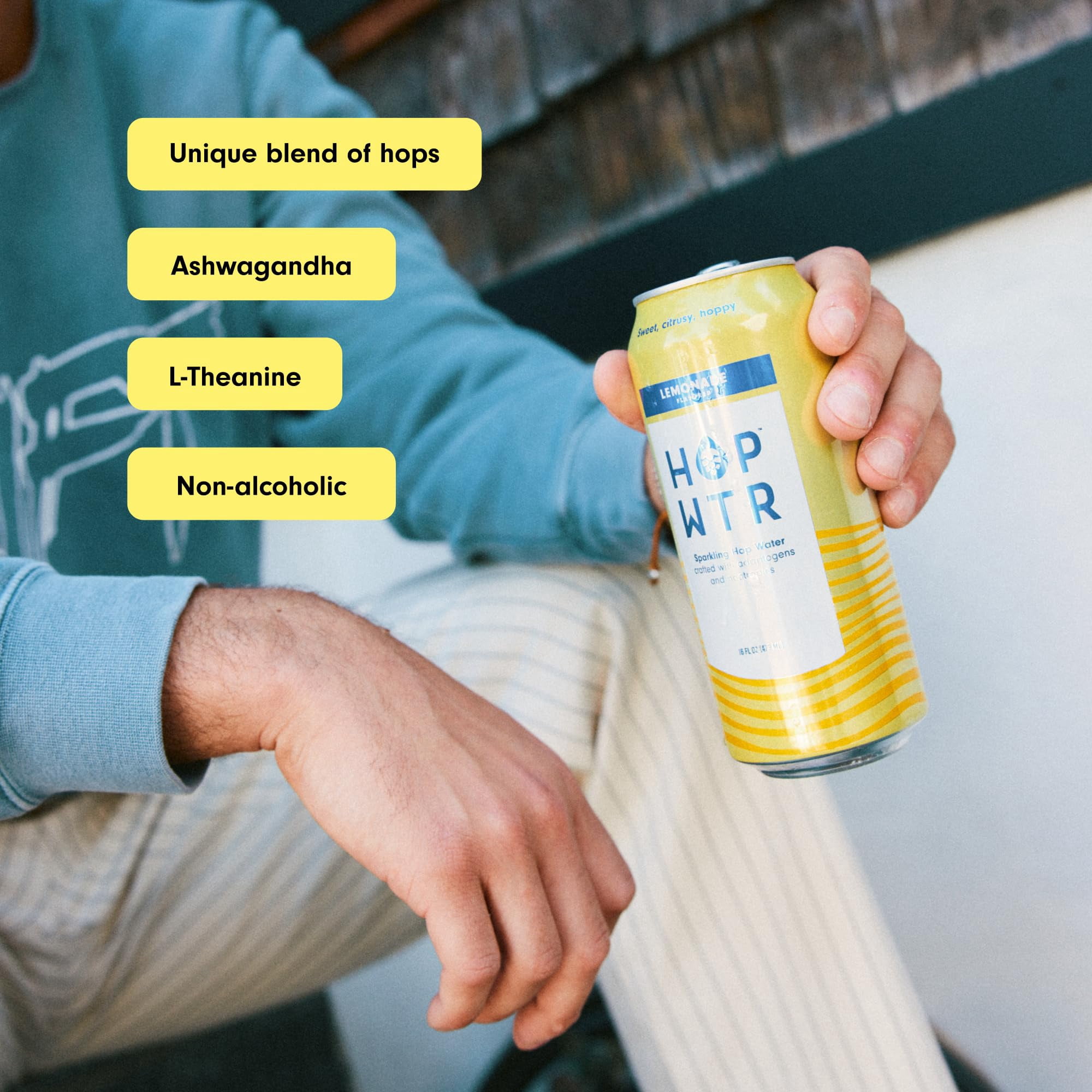 (Pack Of 12) Hop Water Water Sparkling Lemonade 16 Fo