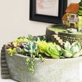 thumbnail image 3 of Macetas Cama de Bonsai Cubeta Planta Flores Sedum Artificial Jardín, 3 of 8